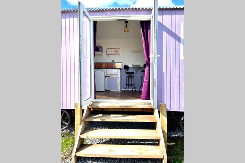 Lilac Tree Hut Tenby Extérieur photo